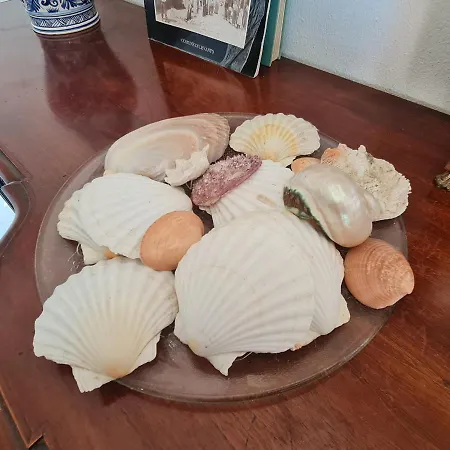 Dom wakacyjny Casa Iodice